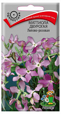 Семена Маттиола двурогая Лилово-розовая цв/п 0,3 г Поиск