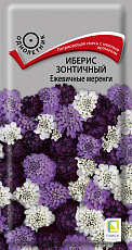 Семена Иберис зонтичный Ежевичные Меренги цв/п 0,1 г Поиск