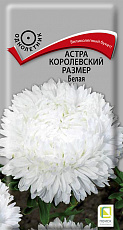 Семена Астра Королевский Размер Белая цв/п 0,1 г Поиск
